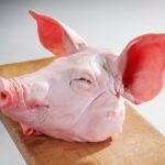 Frozen Pork Head