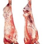 Frozen Beef Carcass
