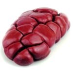 frozen beef kidney