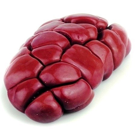 frozen beef kidney