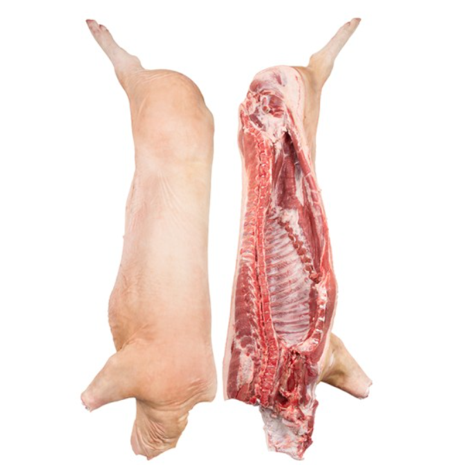 Frozen Pork Carcass Bulk Supplier